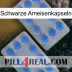 Black Ant Capsules 20